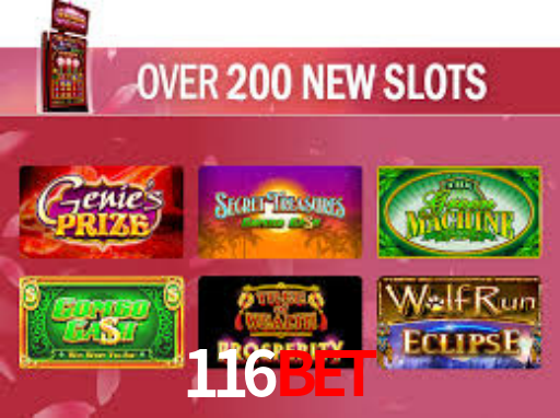 116bet